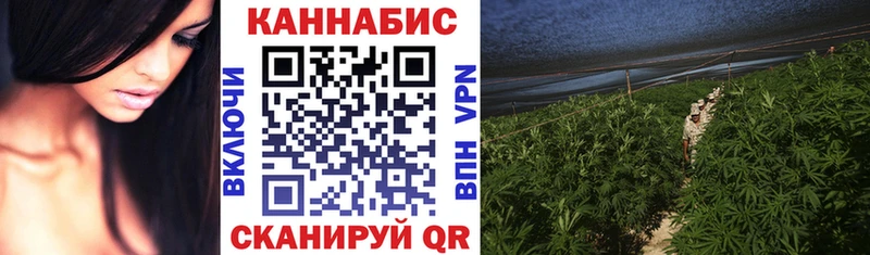 Марихуана сатива Борисоглебск